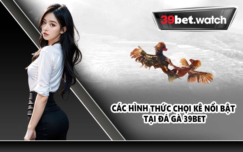 Các hình thức chọi kê nổi bật tại đá gà 39BET