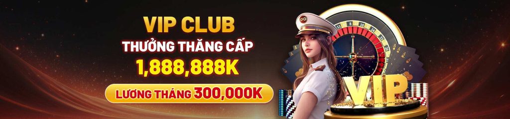 hình baner 3